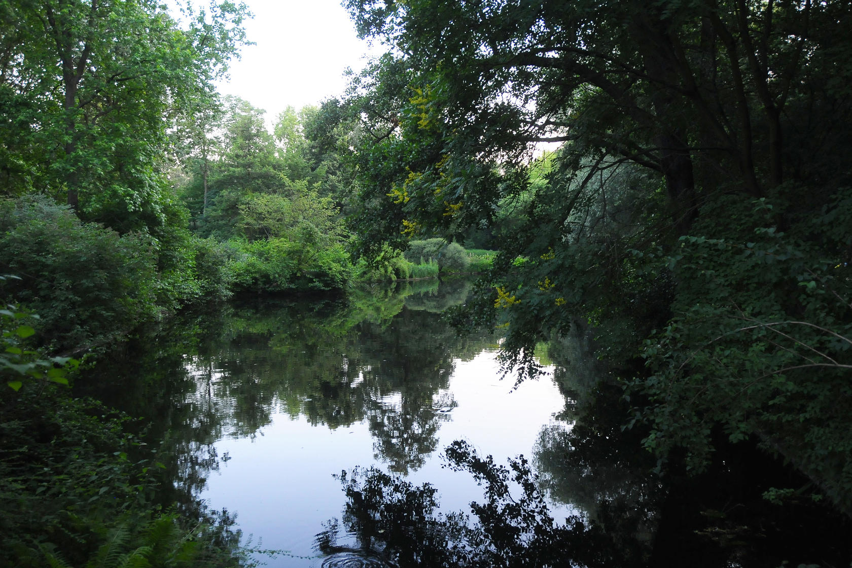 Tiergarten