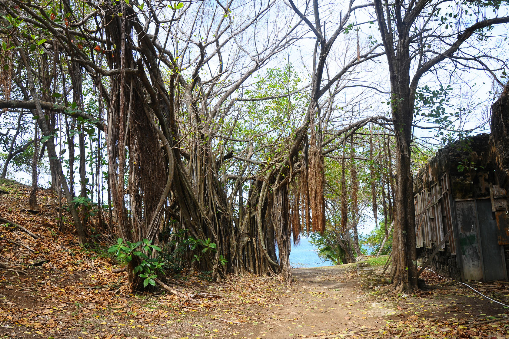 Pigeon Island