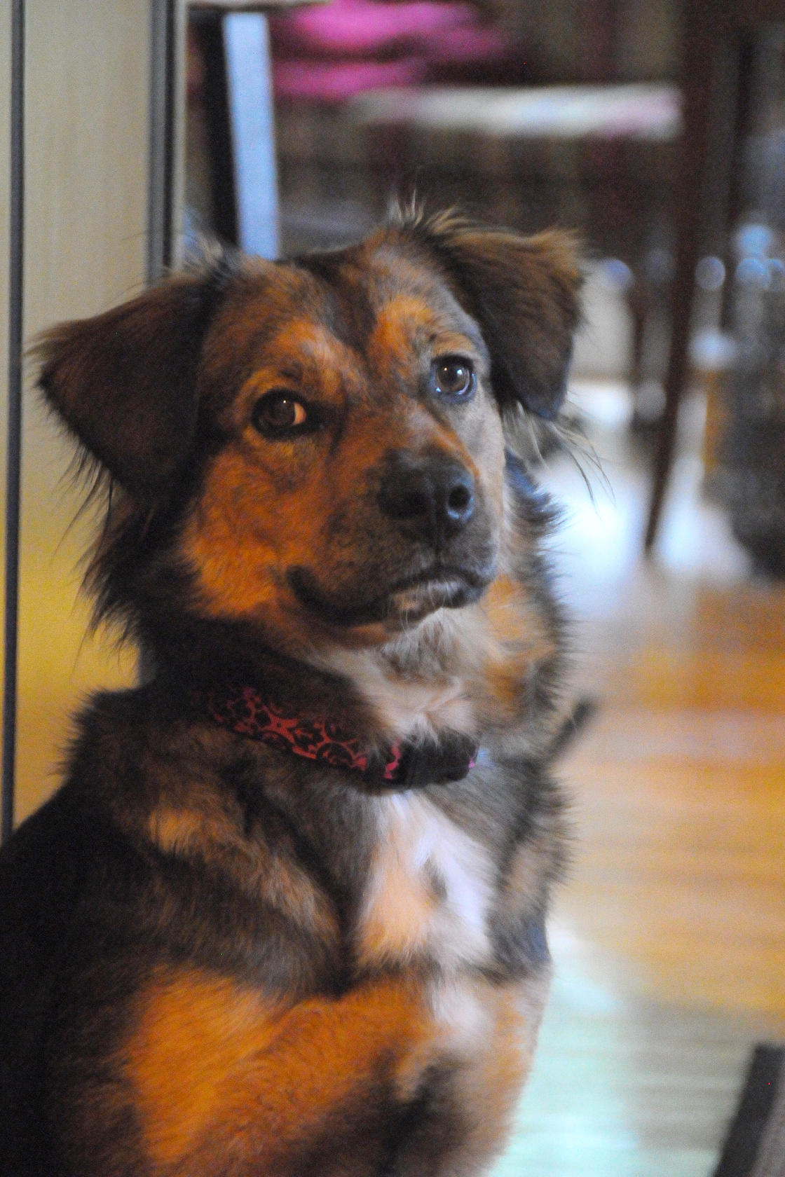 Suspicion