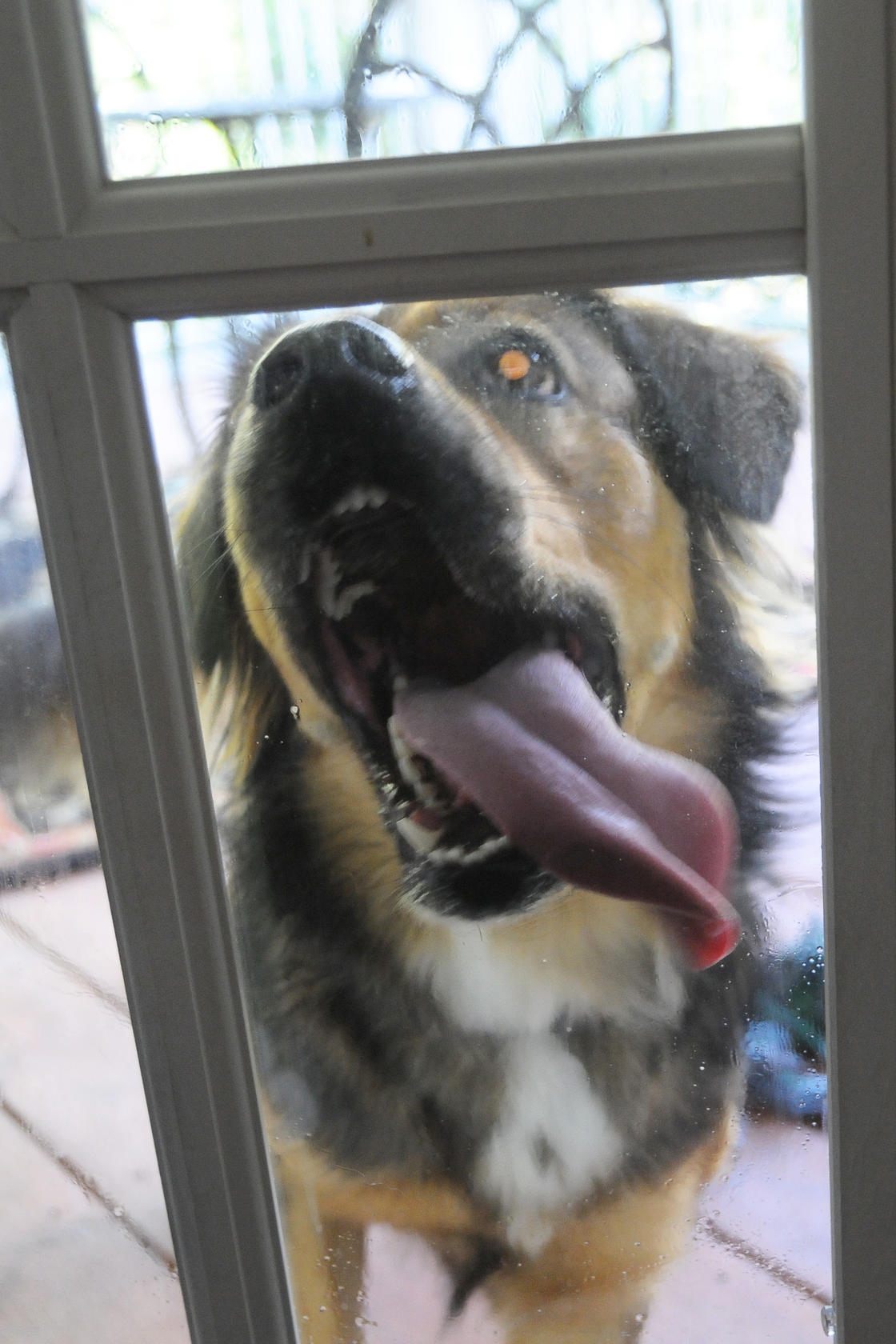 Window Cleaner