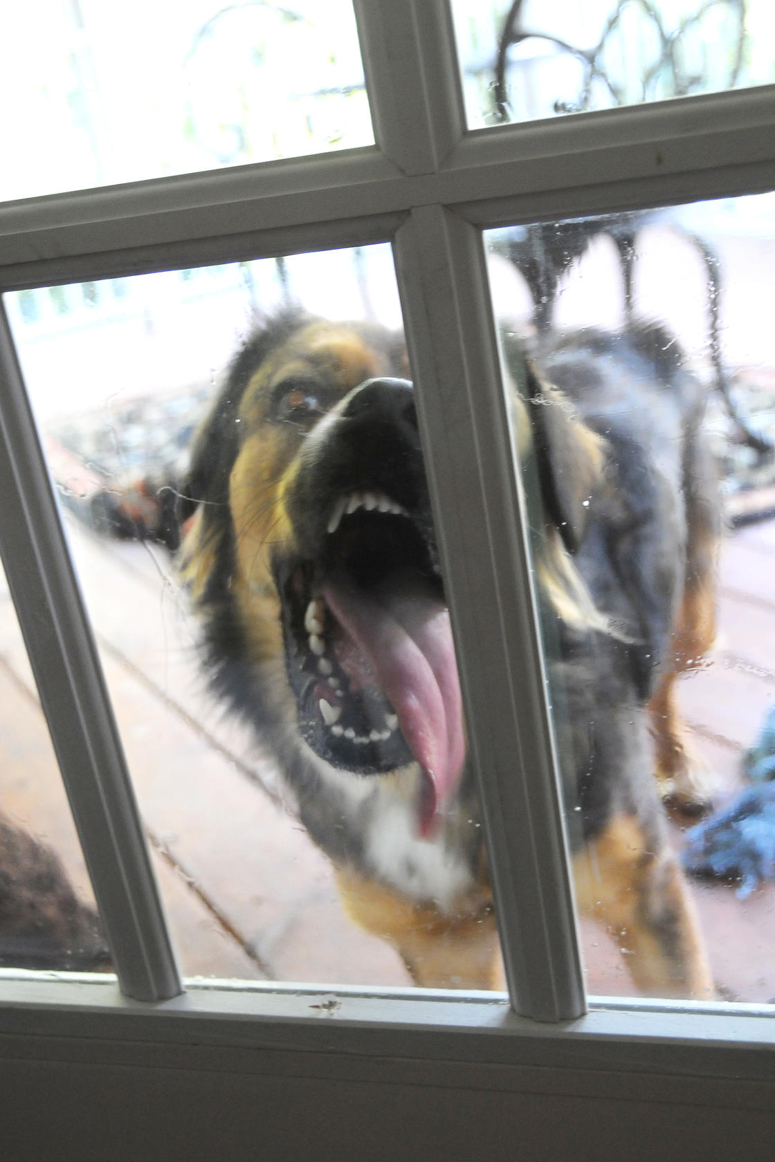 Window Cleaner