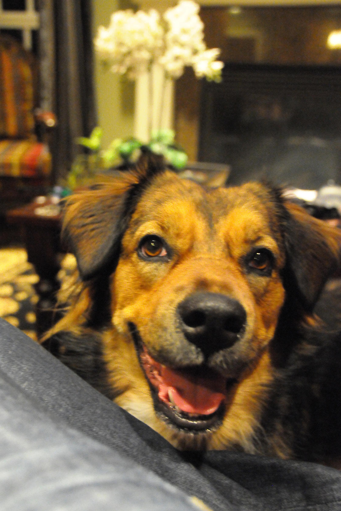 Misha