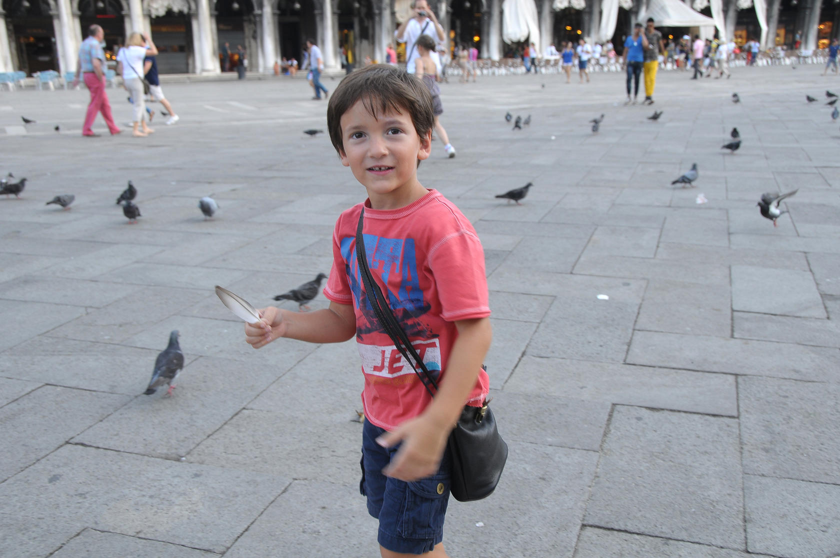 Feather Collector
