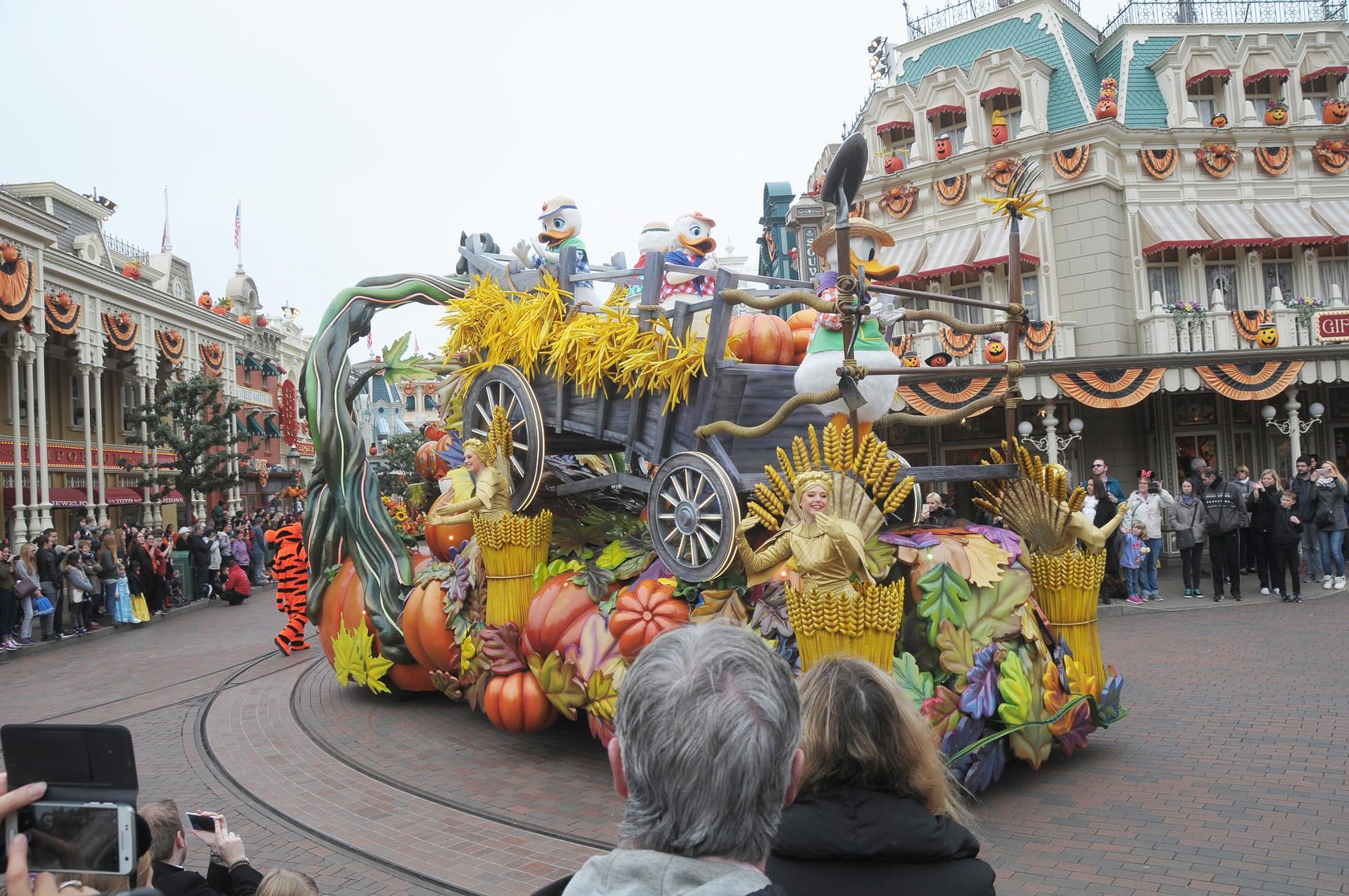 20161026-085224.jpg