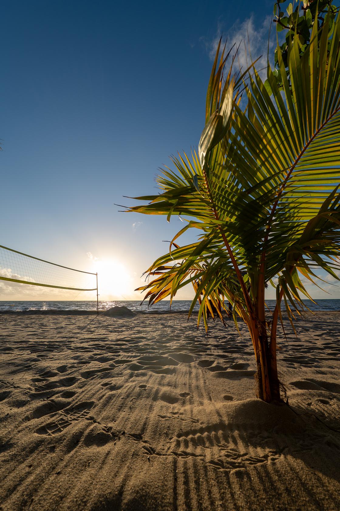 20260311-063305.jpg