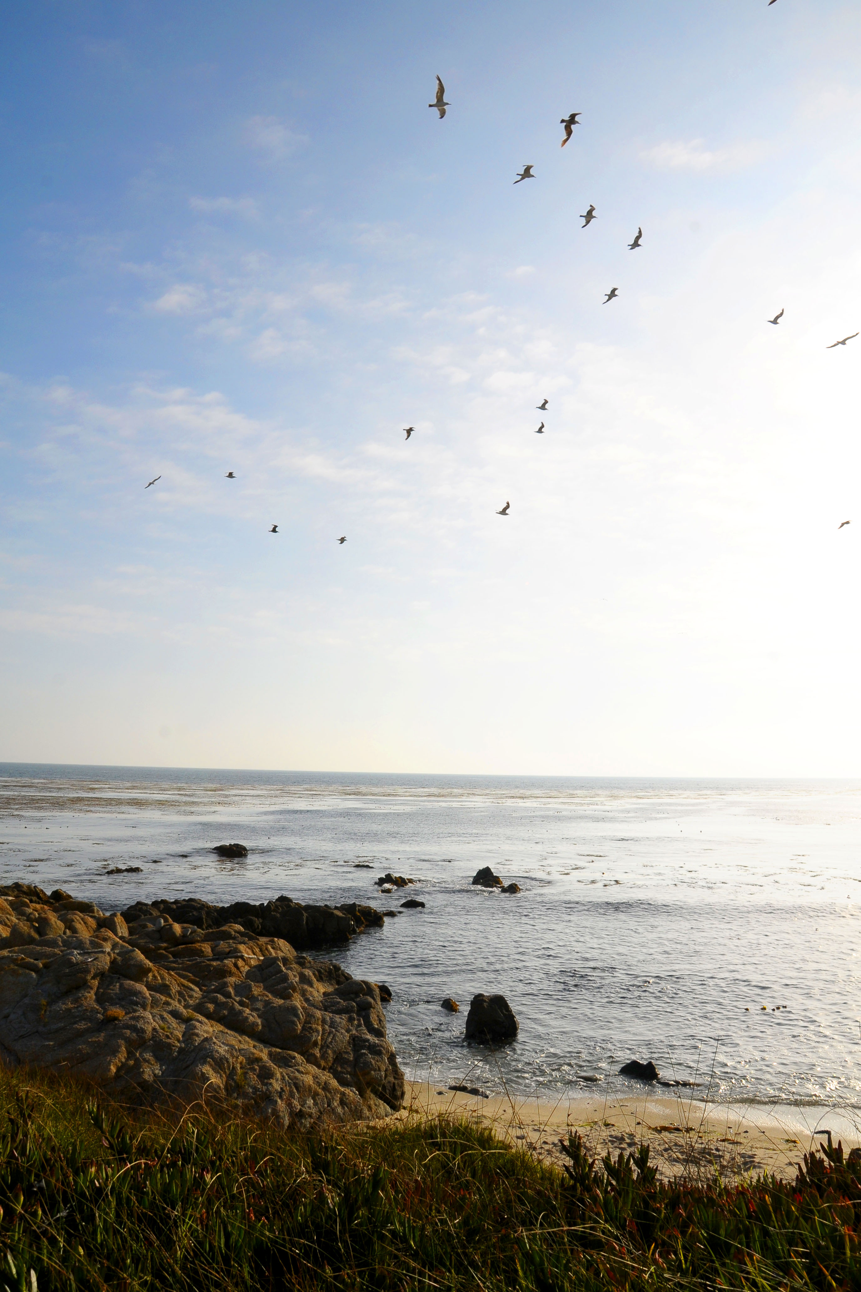 Pacific Coast