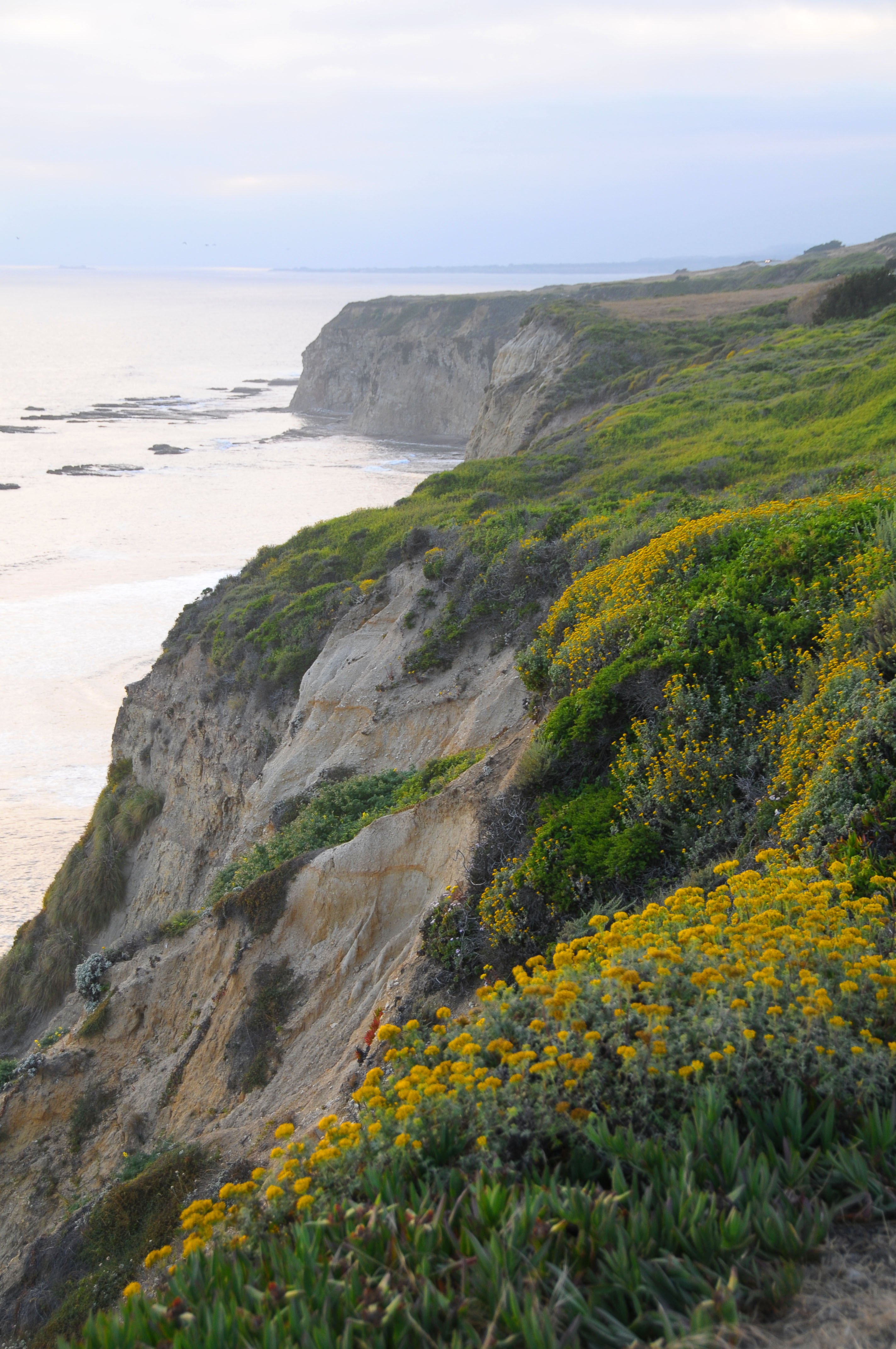 Cliffy Coast
