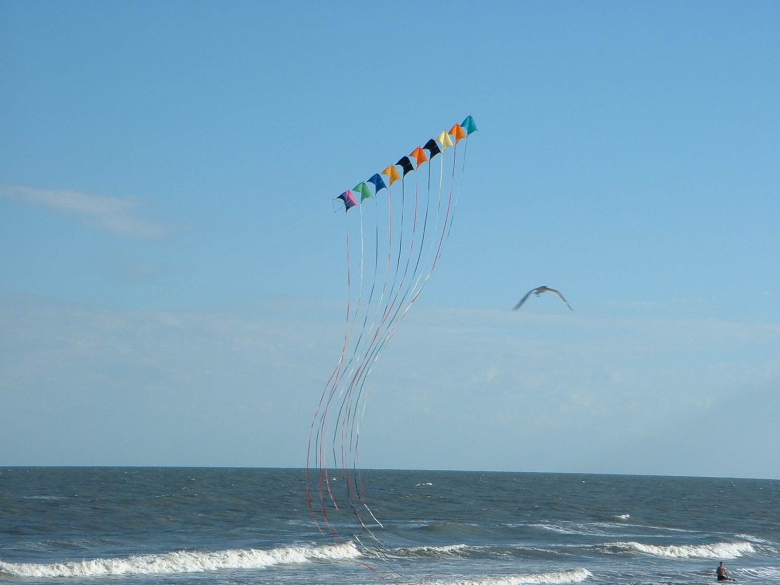 Kites