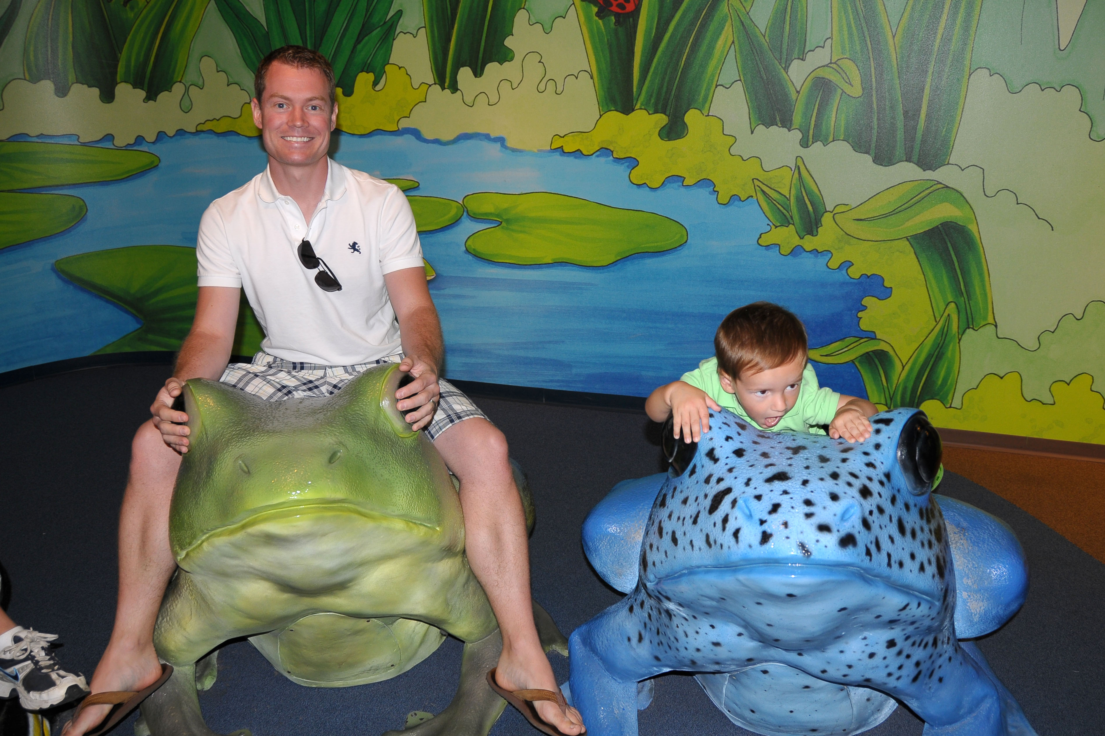 Froggy Time
