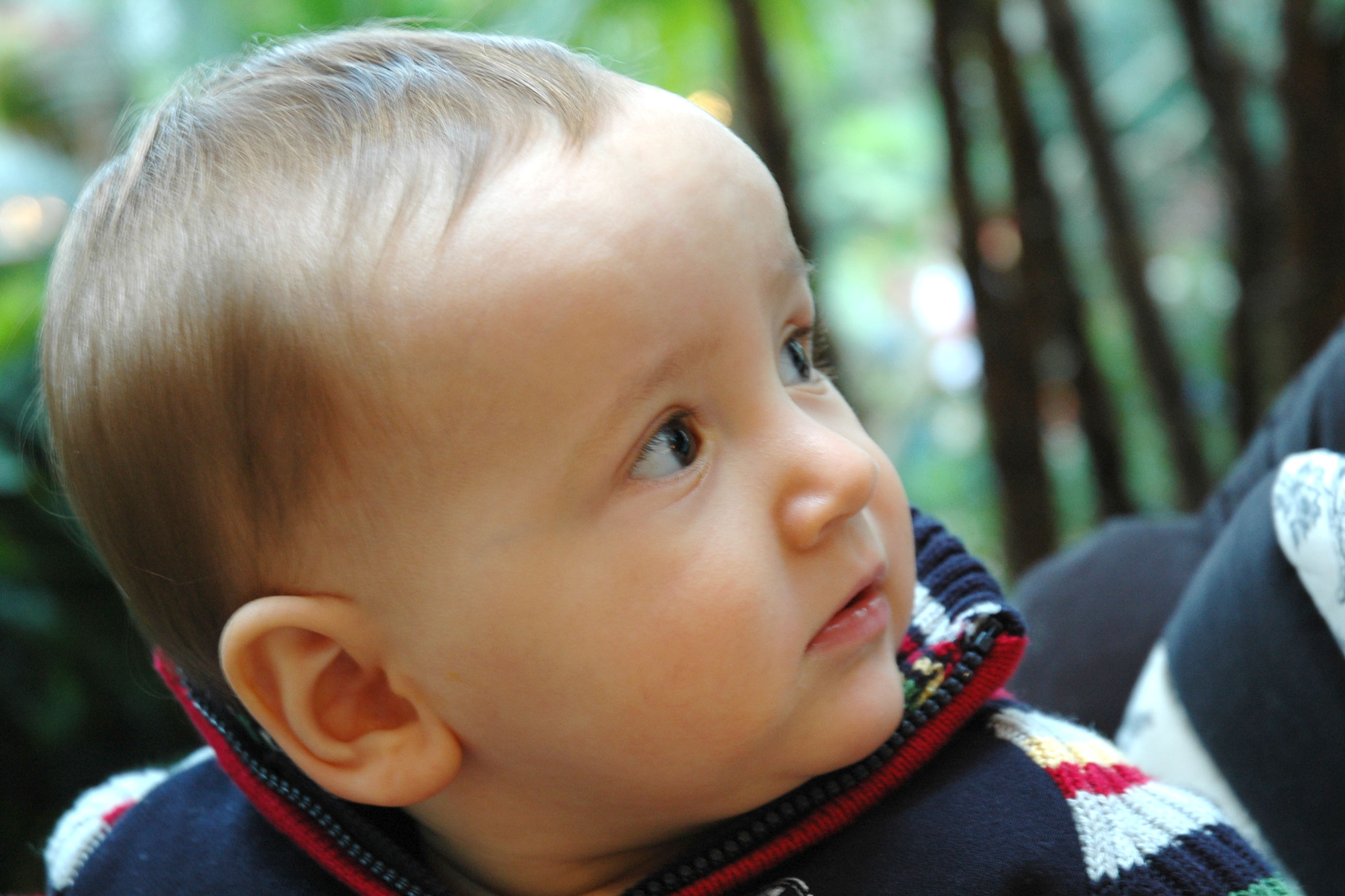 Aiden