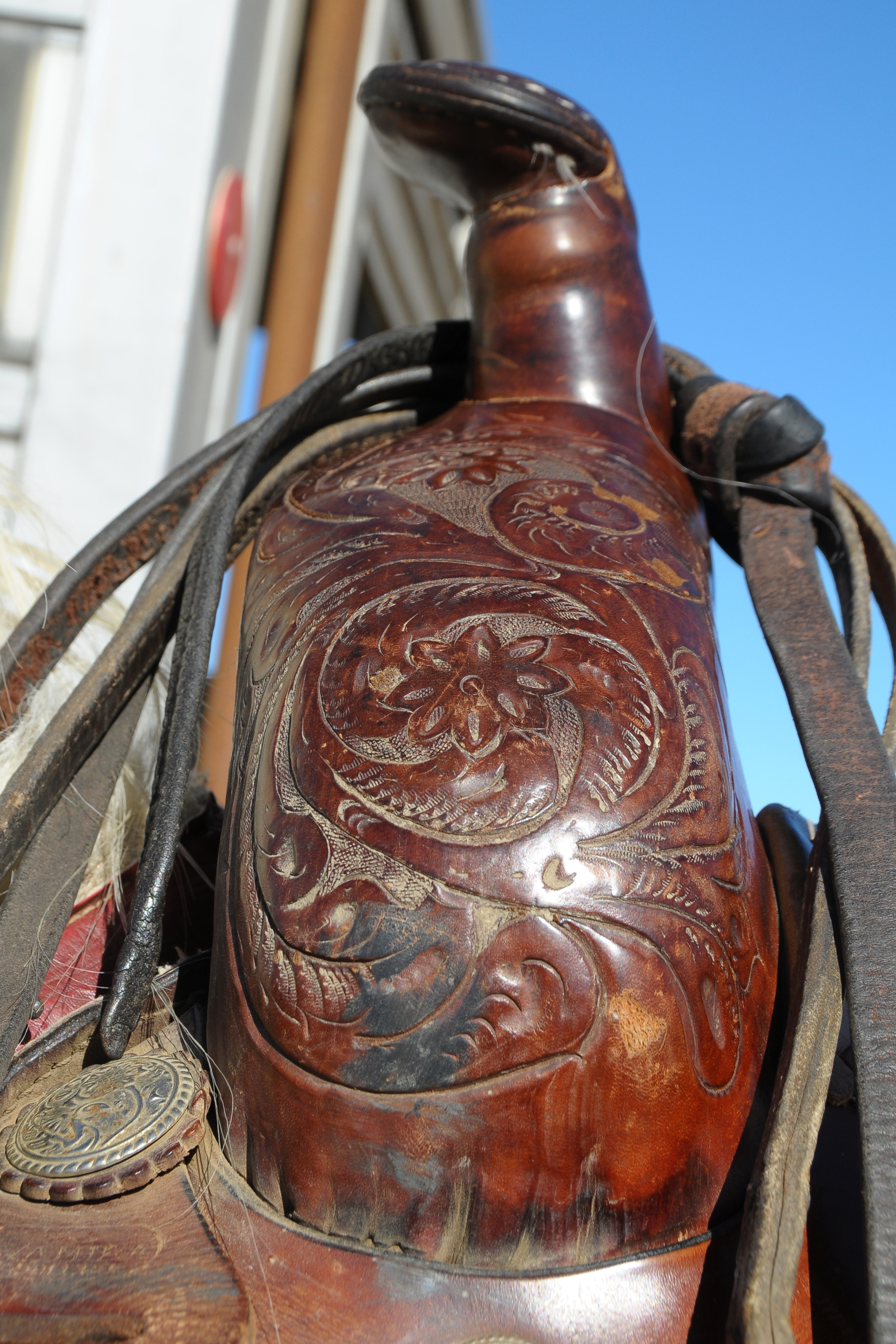 Saddle