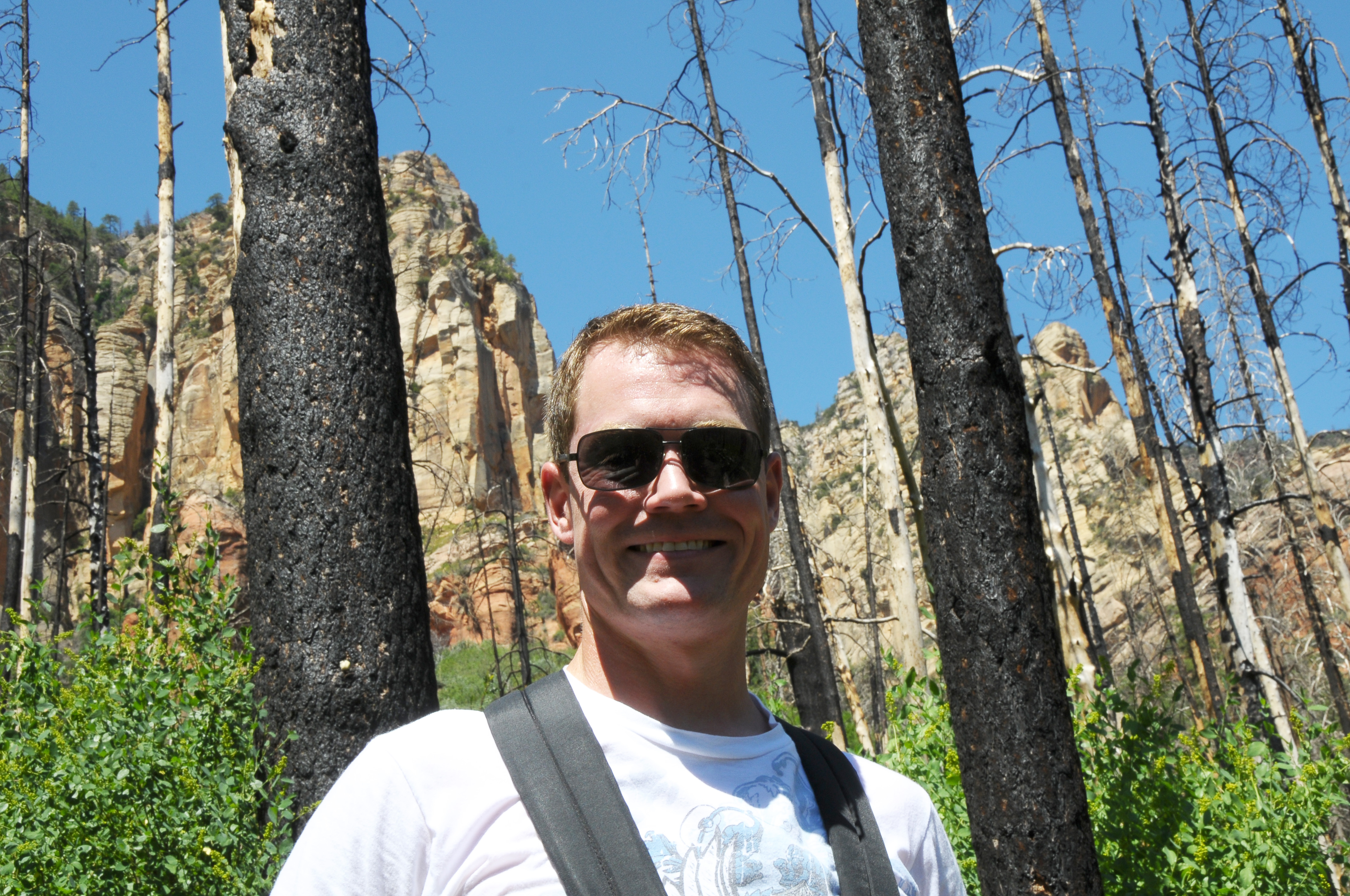 Elliott in the Pines