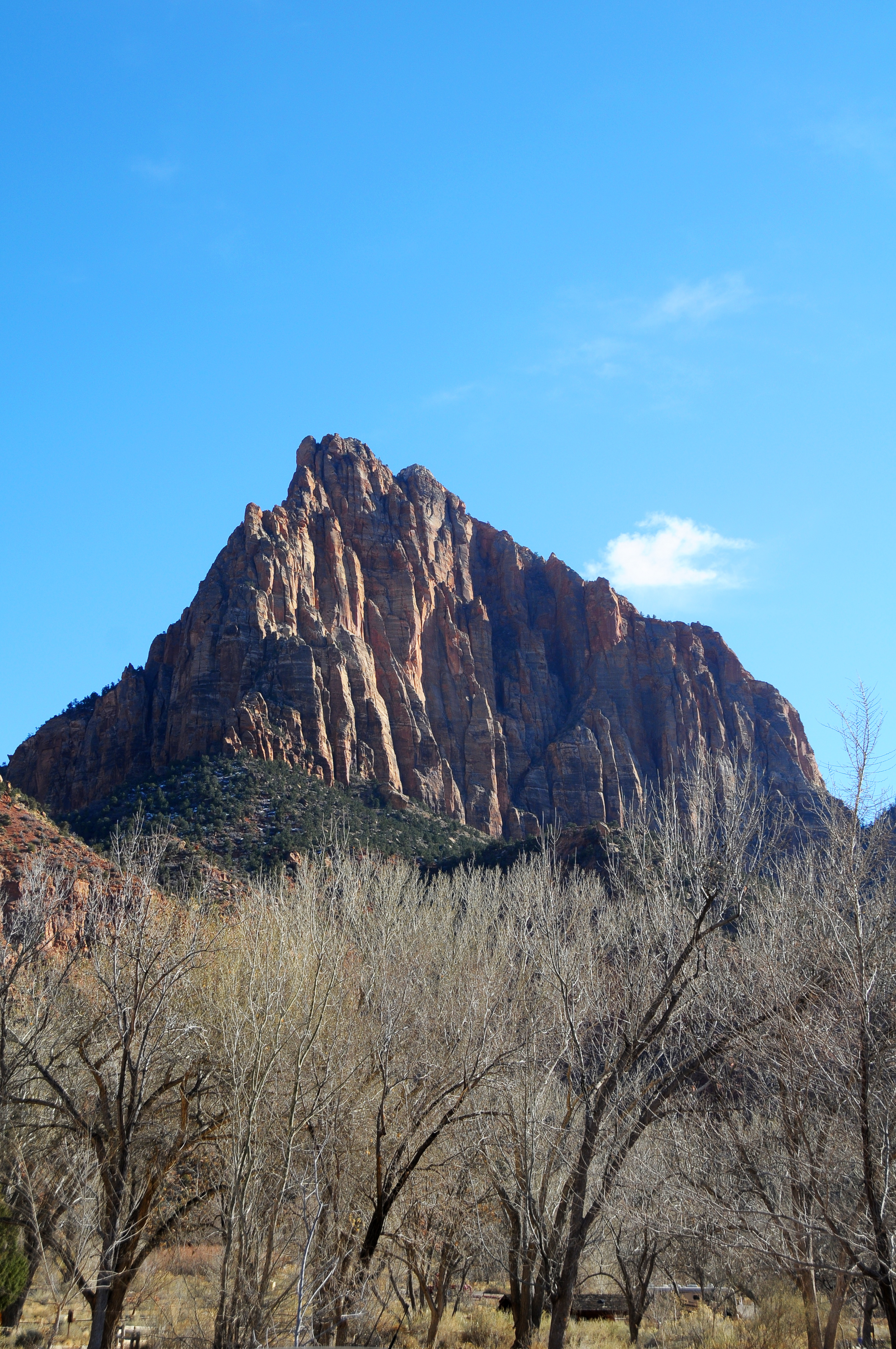 The Watchman