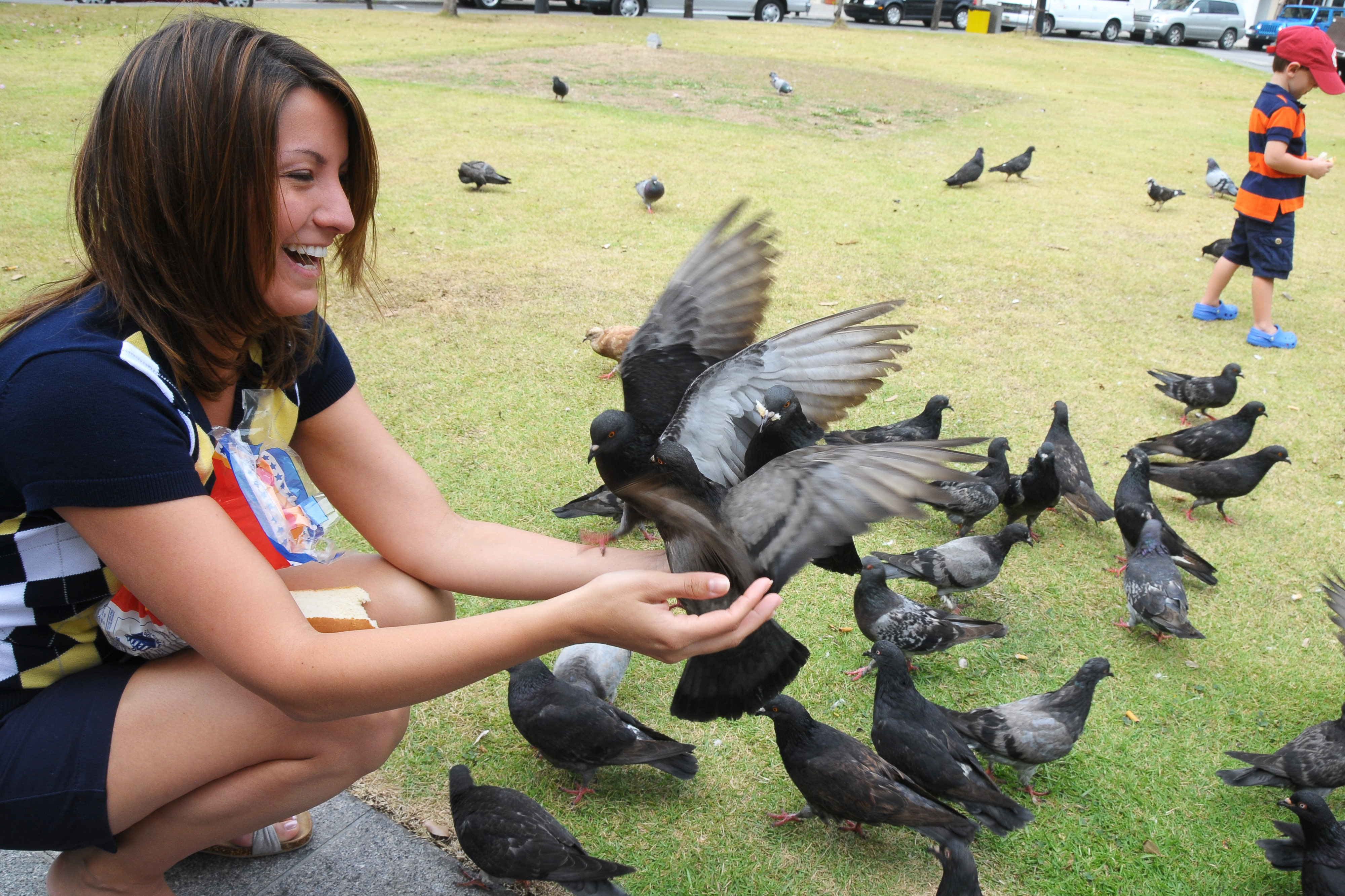 Bird Attack