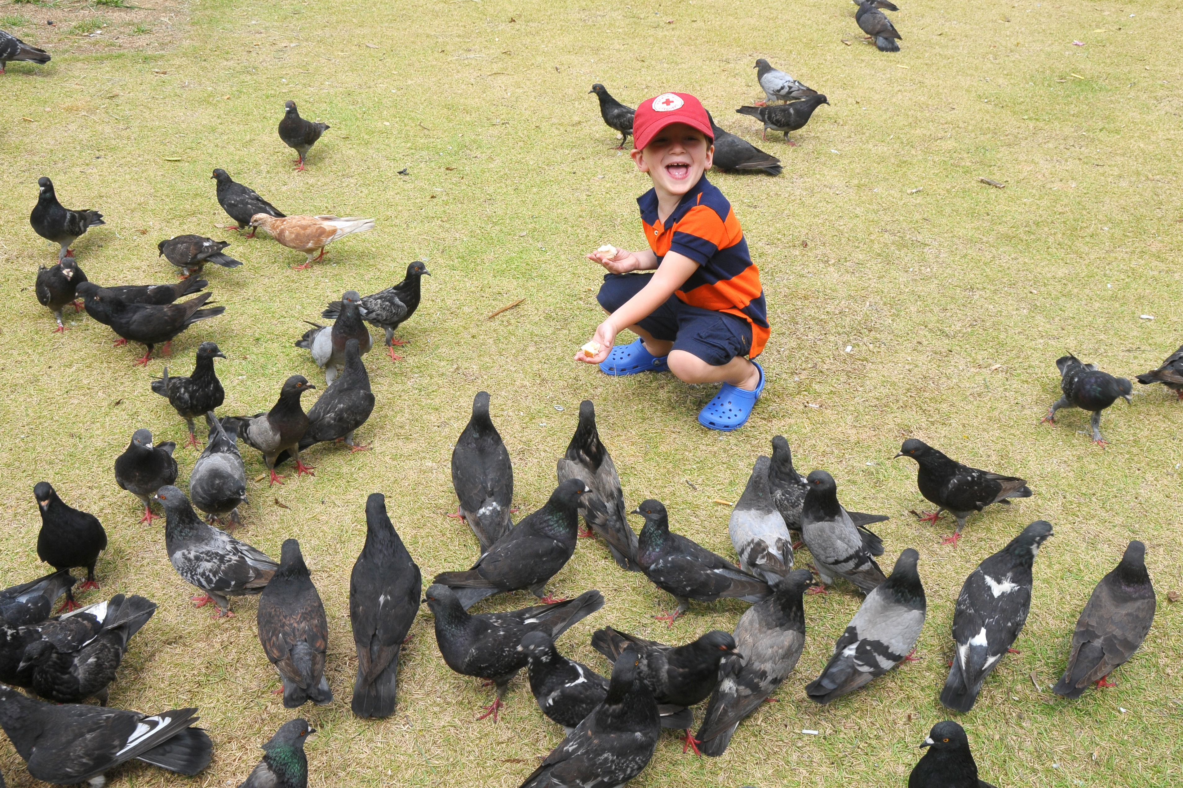 Feeding