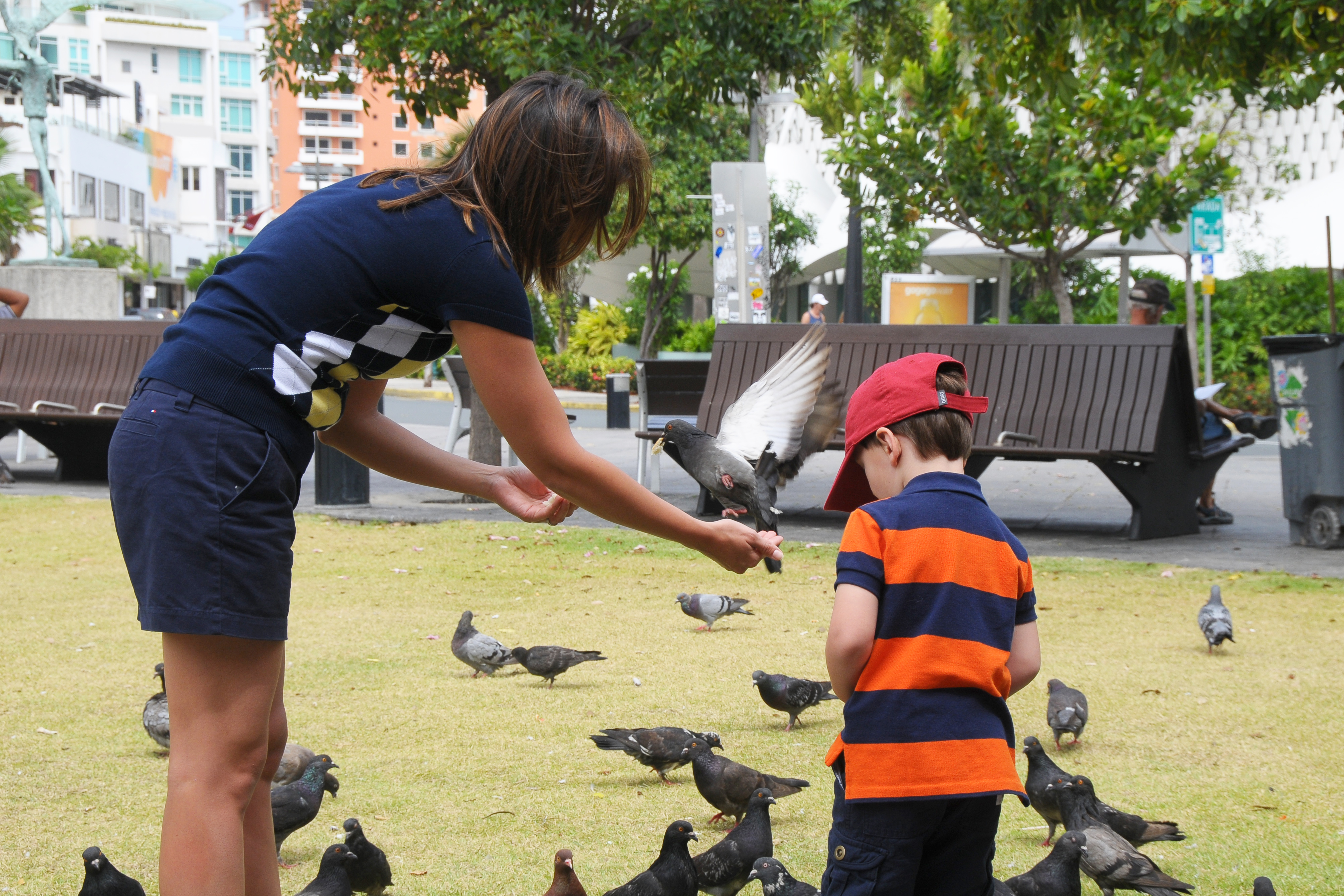 Birds